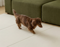 PUP-Mat