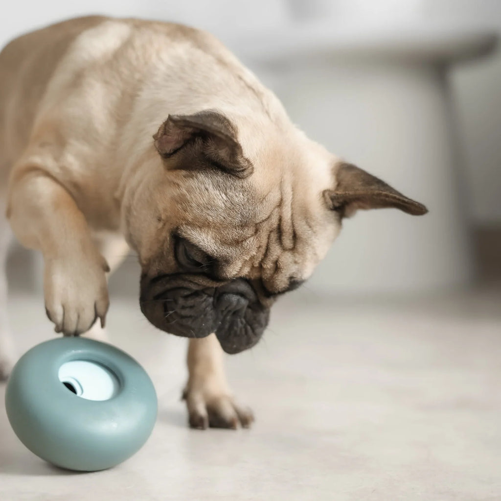 Lunoji Pebble Enrichment Toy