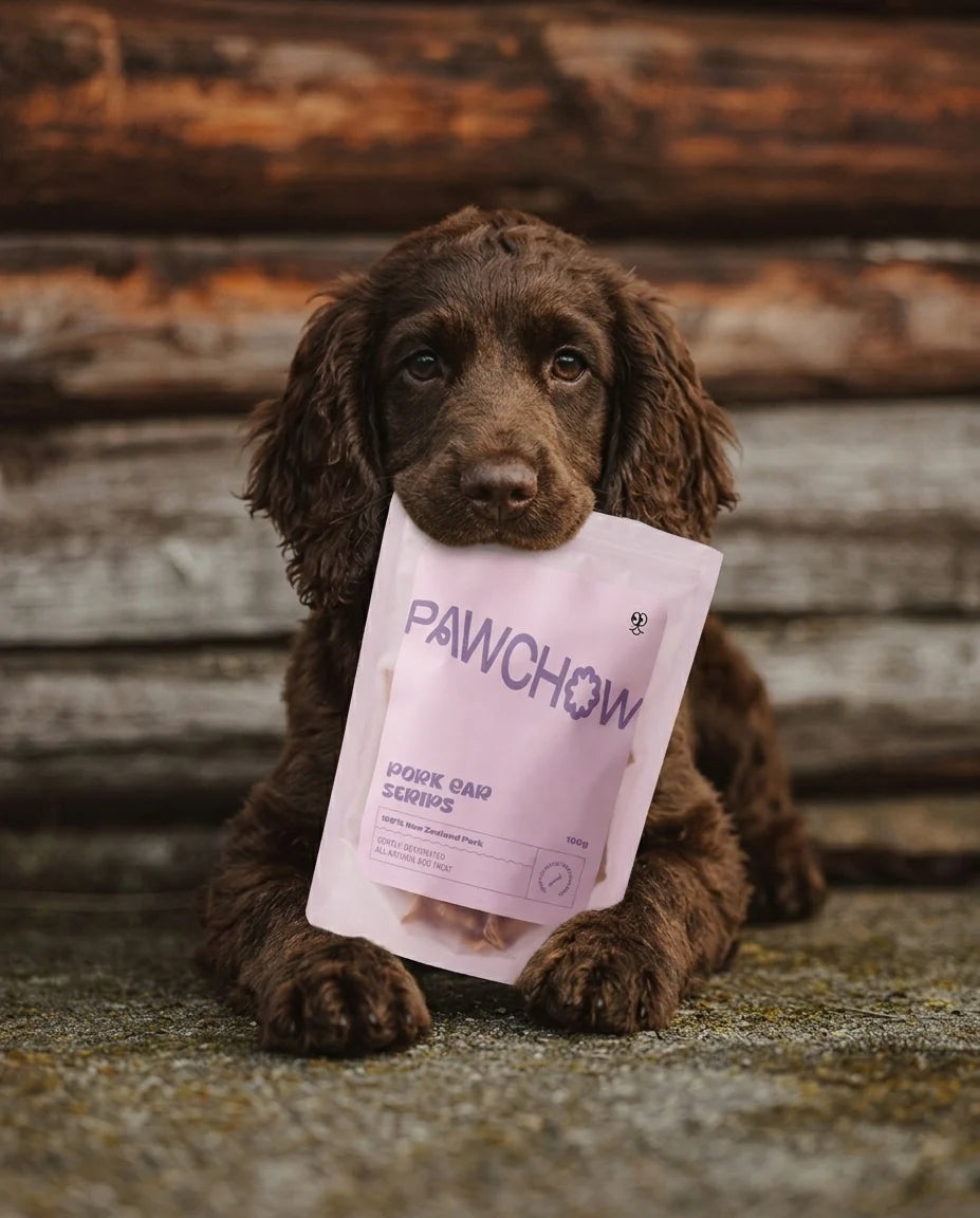 PAWCHOW - Pork Ear Strips